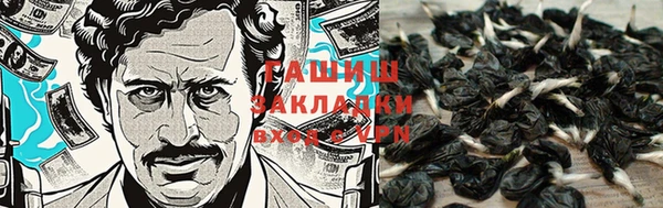 прущая мука Алзамай