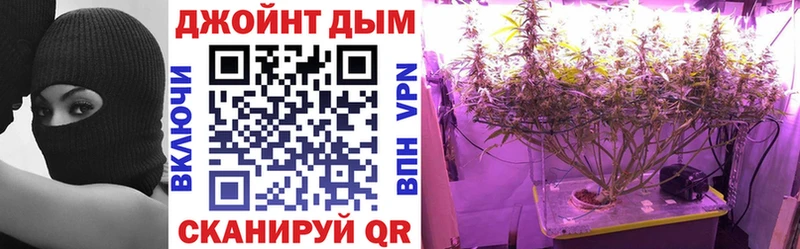 Купить закладки  Сорск  Конопля MAZAR 
